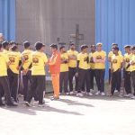 T20 cricket league